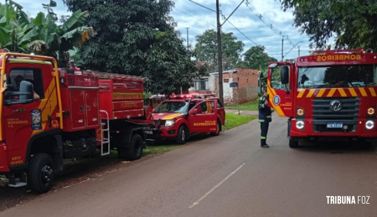 Incêndio destrói abrigo improvisado em área de mata da Itaipu Binacional em Santa Helena