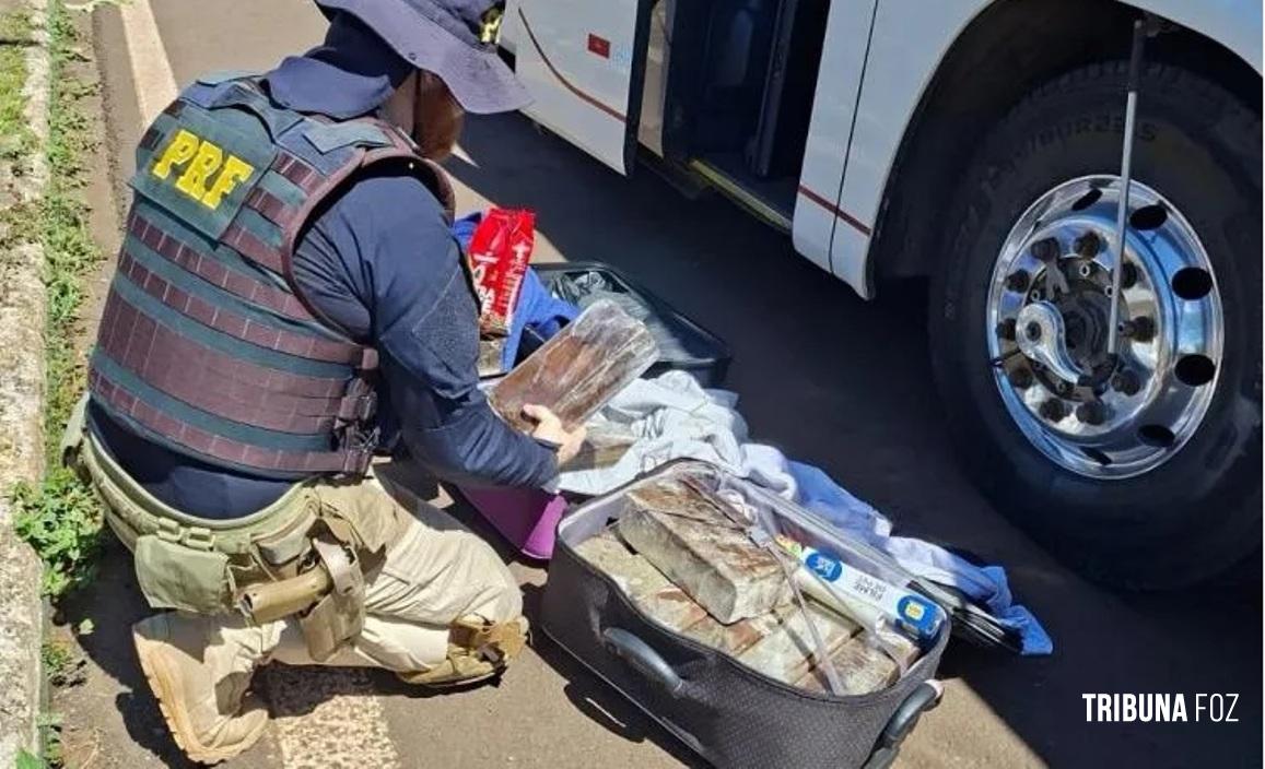 PRF apreende 40 quilos de maconha, celulares e medicamentos em ônibus na BR-277 em Santa Terezinha de Itaipu 
