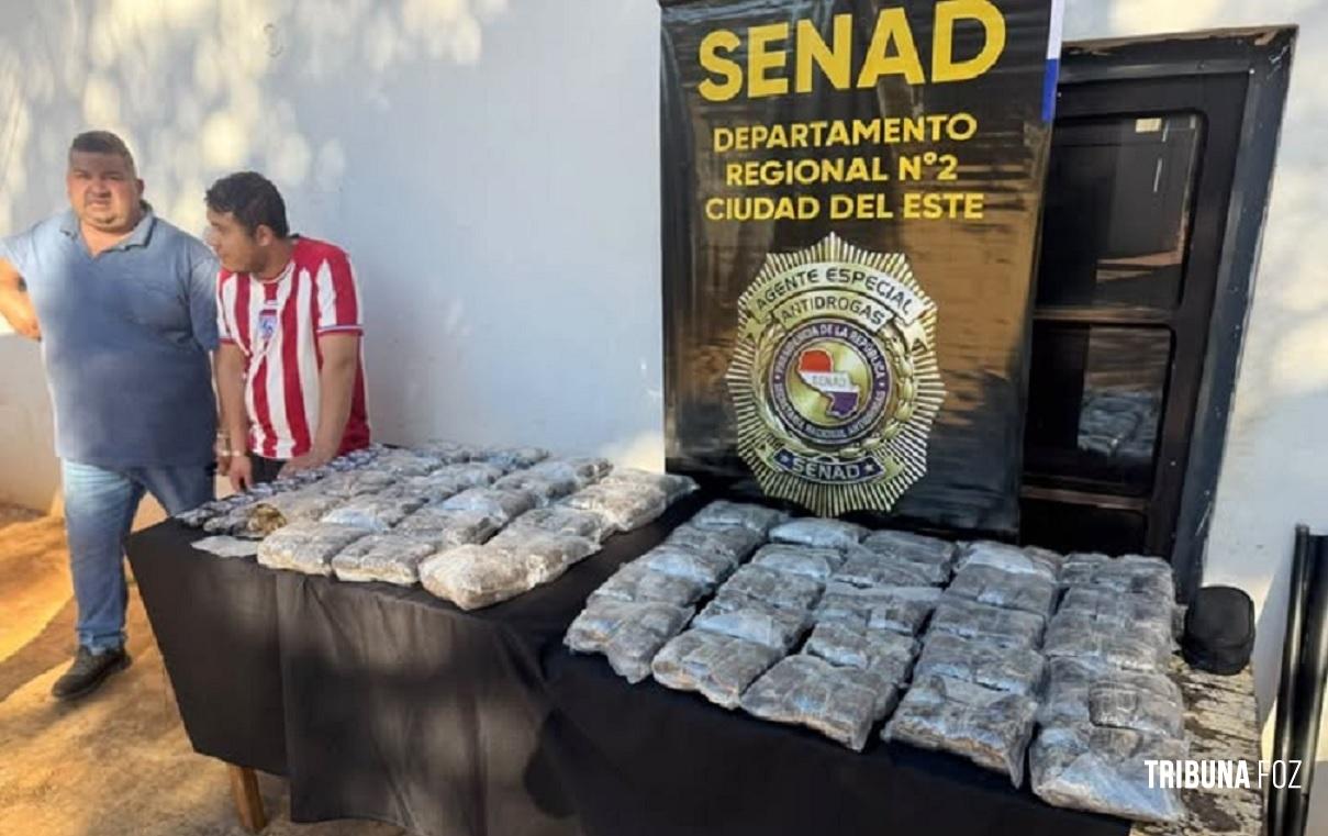 SENAD apreende 48,5 quilos de maconha premium escondida em prédio falso e prende pai e filho em Hernandarias no Paraguai