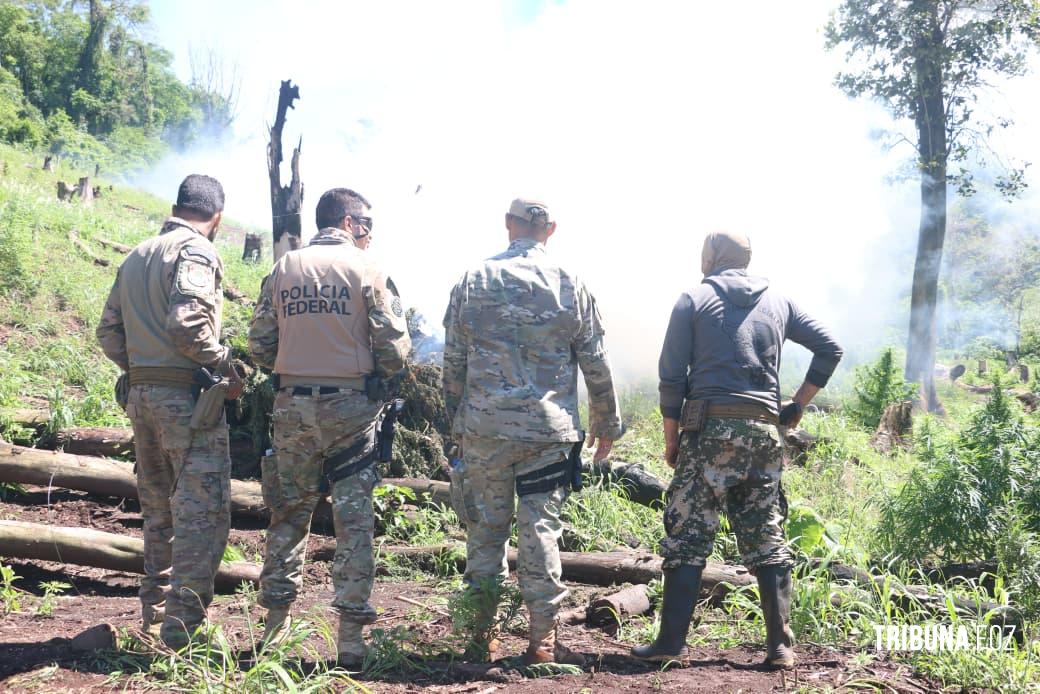 SENAD e Polícia Federal brasileira desferem golpe no narcotráfico que ultrapassa US$ 45,5 milhões de dólares